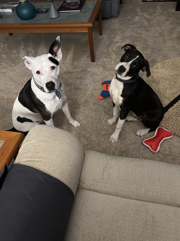 Are we going outside soon? Like NOW??