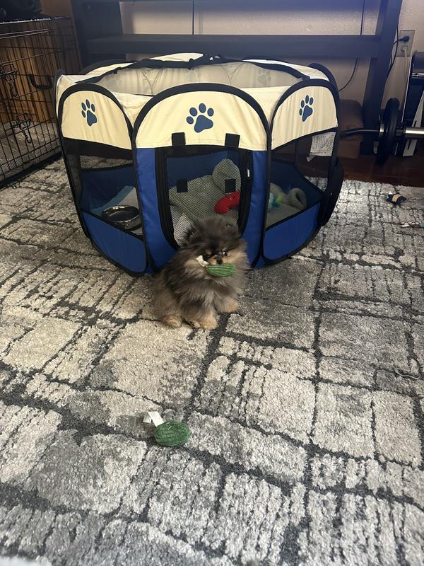 Migo loves his pen. Buying two more.