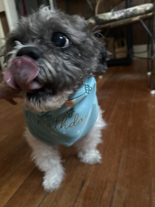 Gideon’s 13th birthday