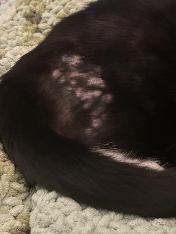 Skin issues caused by food allergies