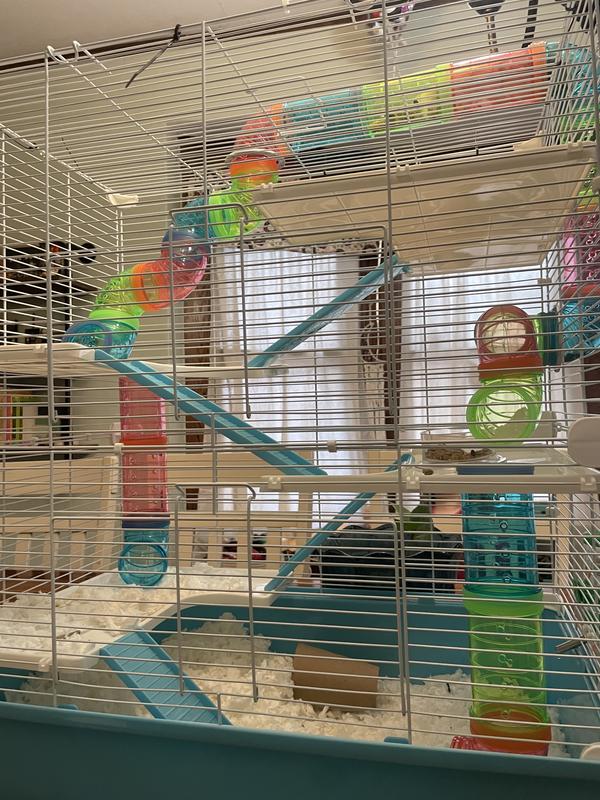 This cage is so big! The shelves might dip a little, but seem secure and they hold up his weight.