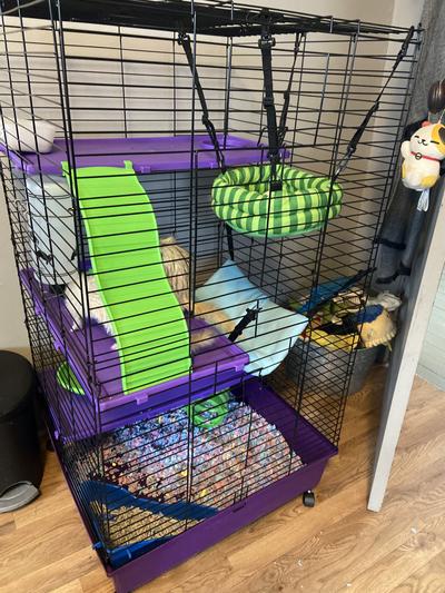 Purple and deals green ferret cage