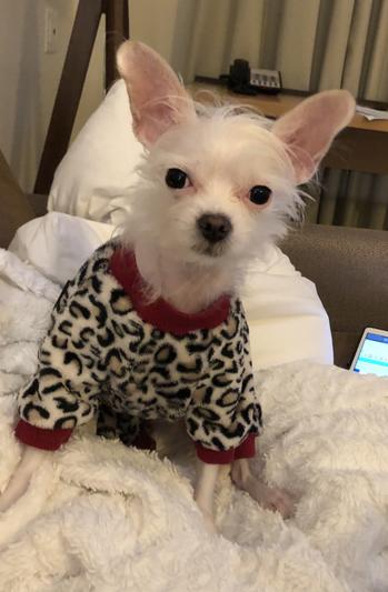 Duffy loves his Forza