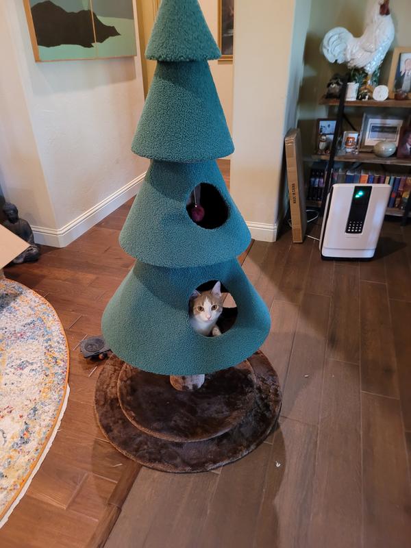 Barely had it finished before he was inside it