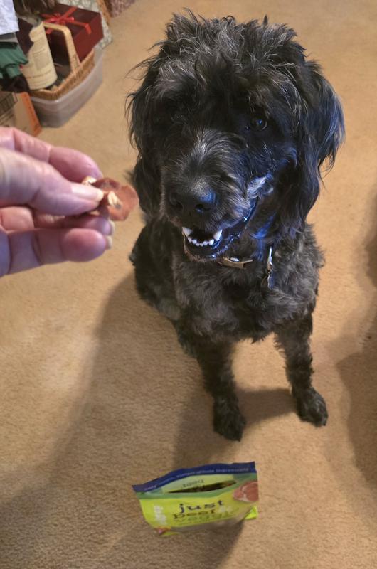 Zoey says they are yummy