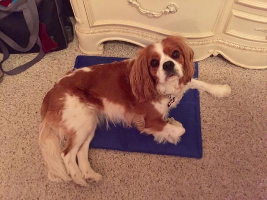 Chewy cooling outlet mat