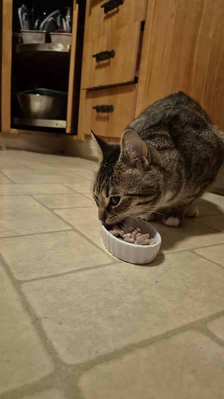 My youngest eating the salmon