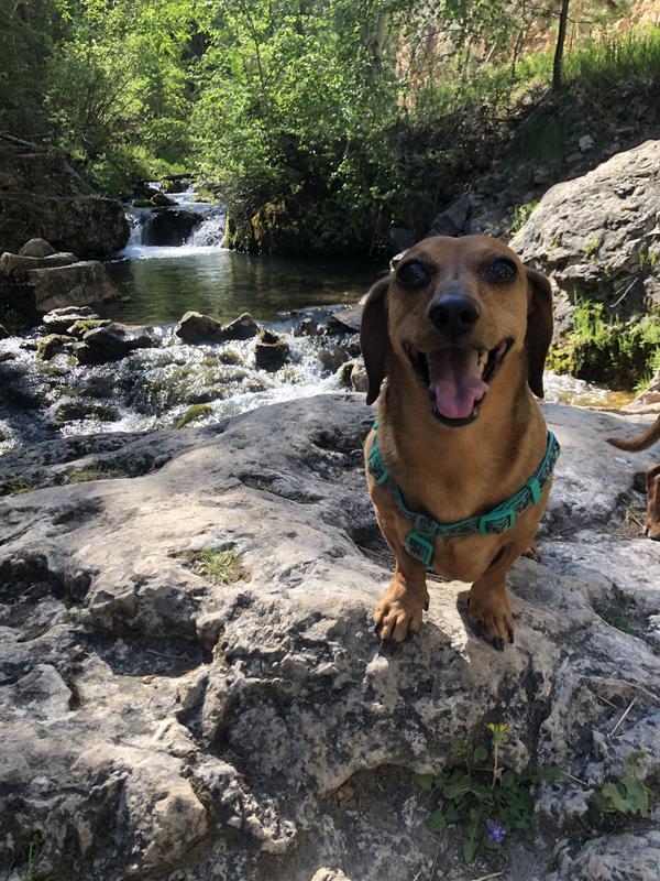 So grateful her eyes are all better so she can go on adventures whenever she wants.