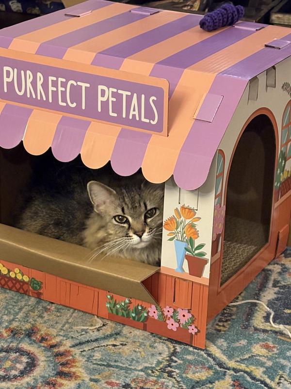 Kitties and Frisco flower hut