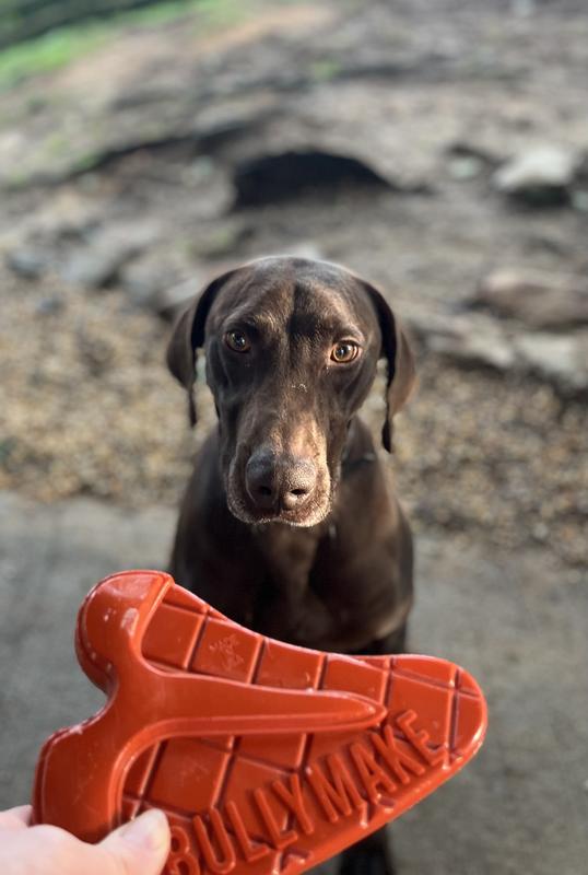 This guy LOVES this thing