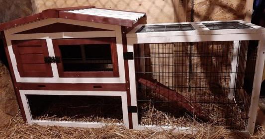 Discontinued - FRISCO Wooden Outdoor Rabbit Hutch, Red - Chewy.com