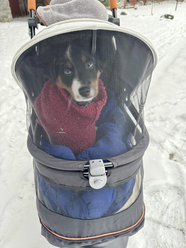 PAWLALA Haustier-Kinderwagen – Mit Abnehmbarer Tragetasche, Für Hunde/Katzen Bis 13,6 Kg