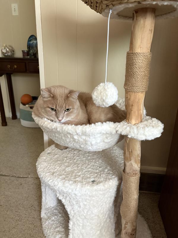 Cooper’s favorite nap spot