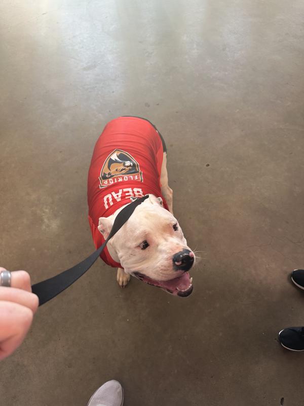 Dog jerseys outlet nhl