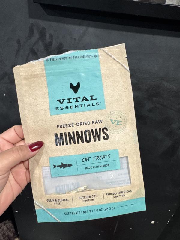 Vital Essentials Salmon Bites Freeze-Dried Raw Cat Treats