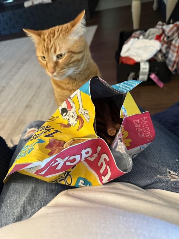 Franklin inspecting the dog treats. 😂