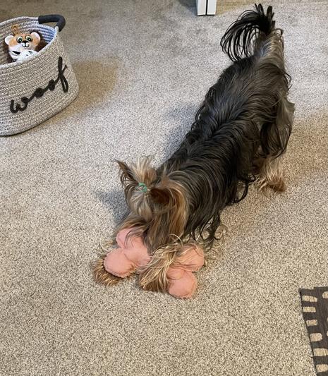Playtime fun