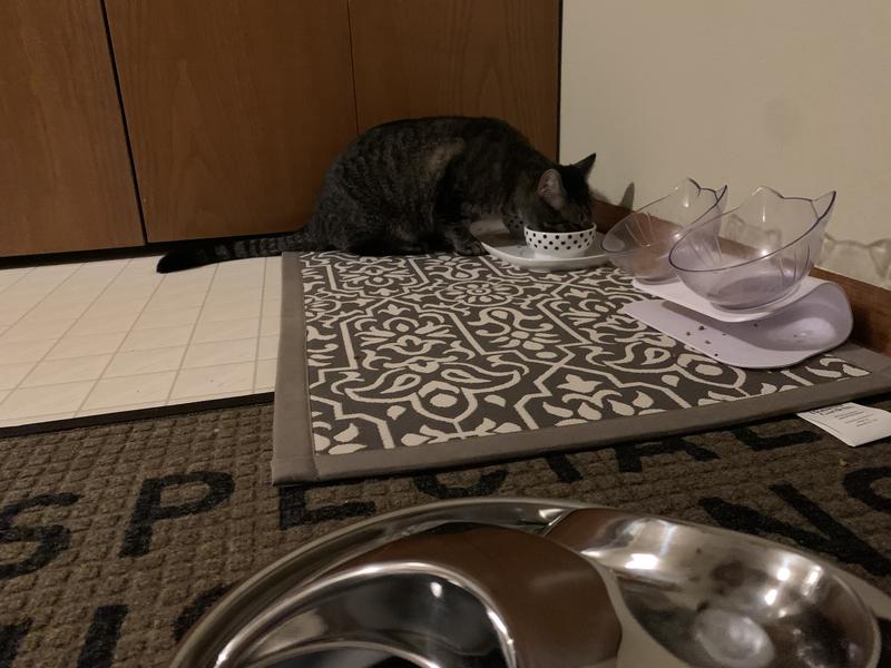 side view shows how deep he goes into the bowl