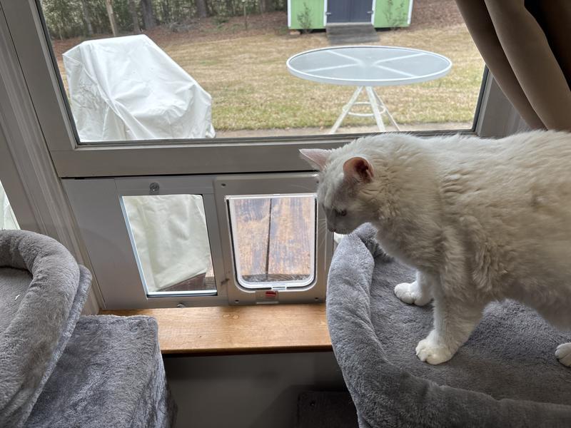 Ideal Pet Products Sash Window Chubby Cat Door