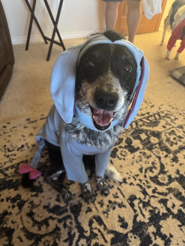 large dog wearing an eeyore costume