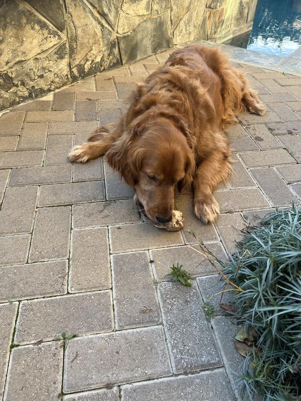 Using the front teeth to get the cartilage