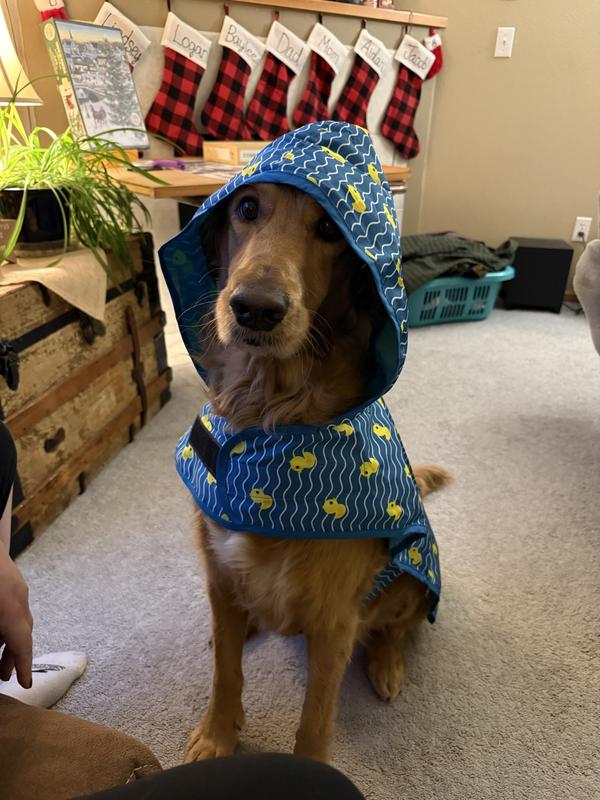 Daisy and her ducky raincoat!
