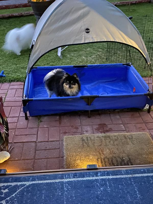 Brudder go give mommy kisses, it always works, maybe she will put some water back in our pool😂🤣