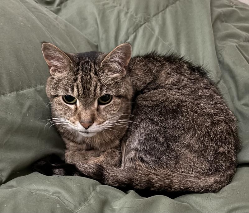 Annie is happy with her new food.