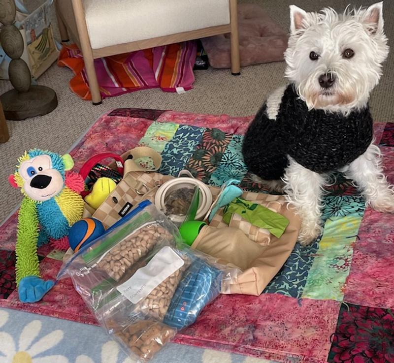 Look at all the things I can fit in my new CleverPup Park Pack!