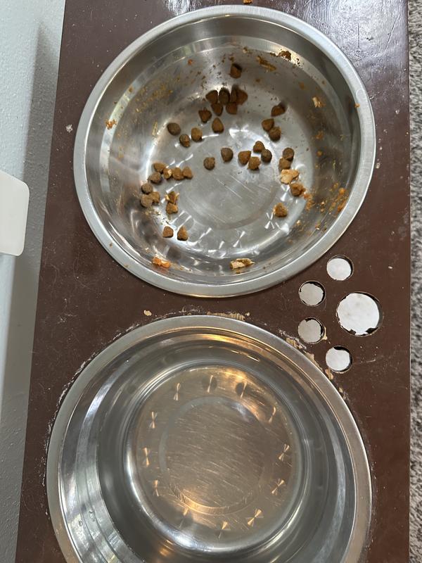 Pup said … more please 😊