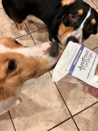 First sniff, they wanted to eat it right out of the carton