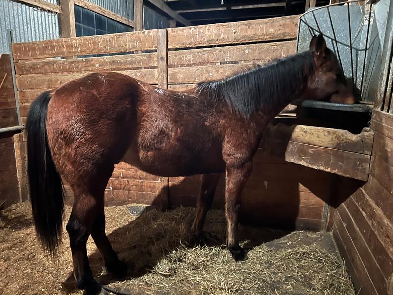 Top line improvement