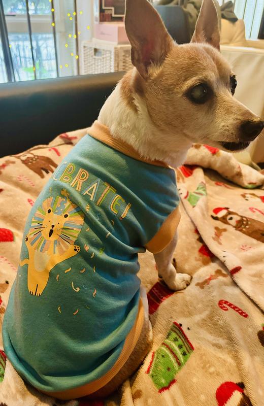 Celebrate your dog’s life