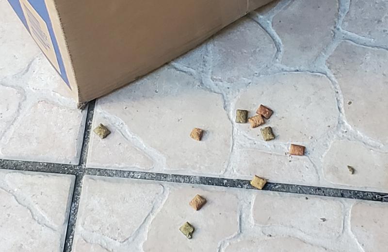 Treats fell out onto our walkway