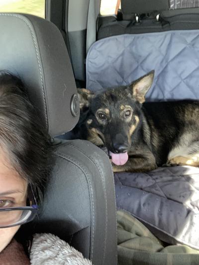 Loving his backseat, with his people.