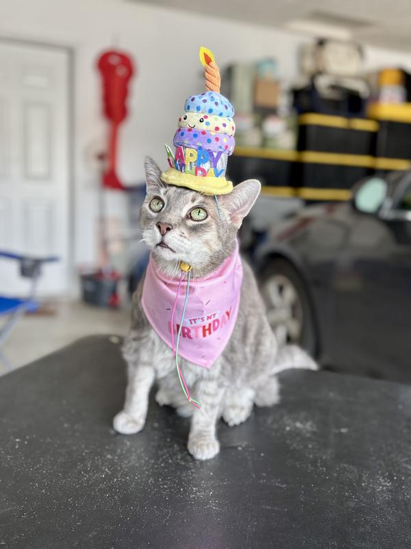 Happy birthday, Razz!