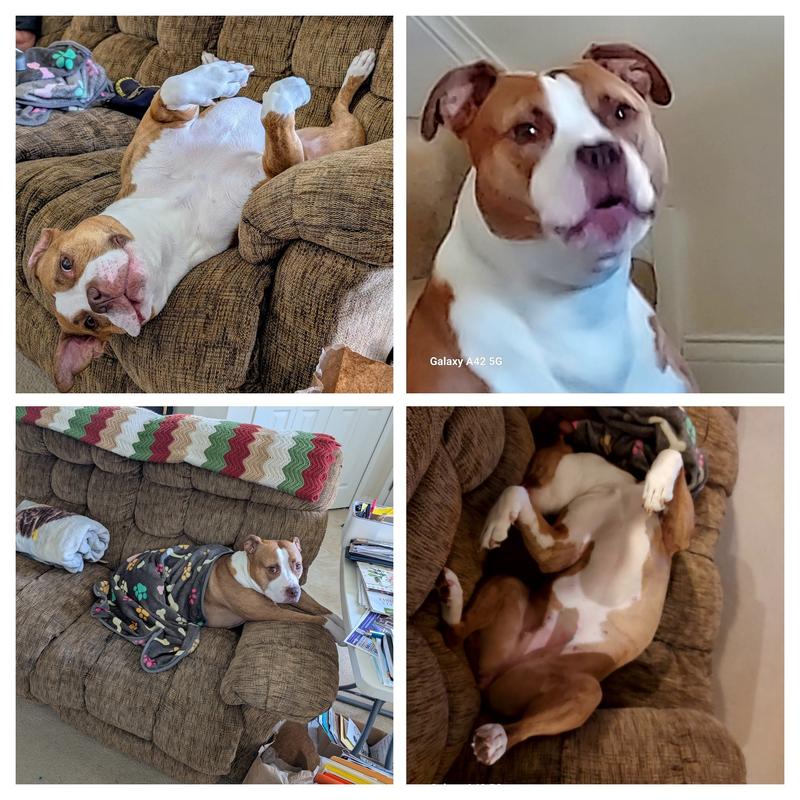 Our silly girl!!