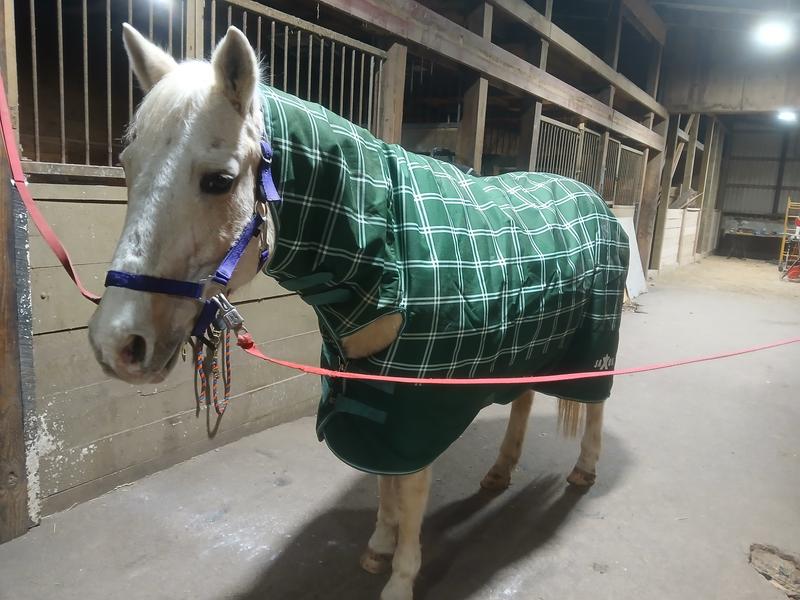 Good price & well made! And love the color!