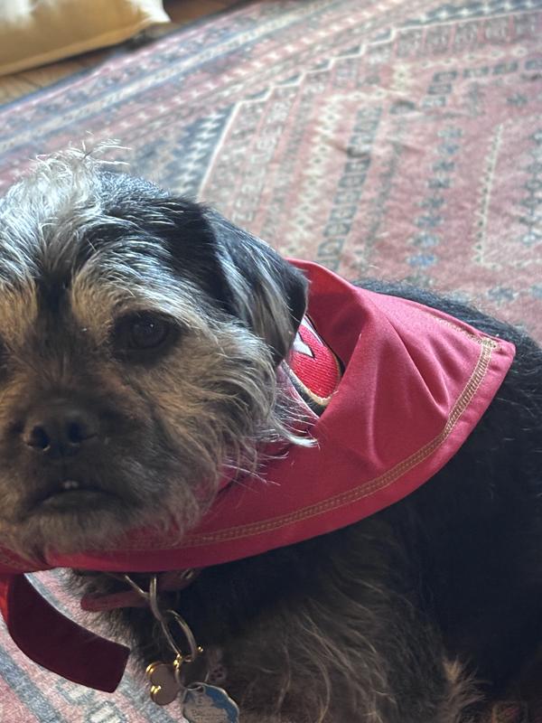 He’s a Forty Niner fan like us.