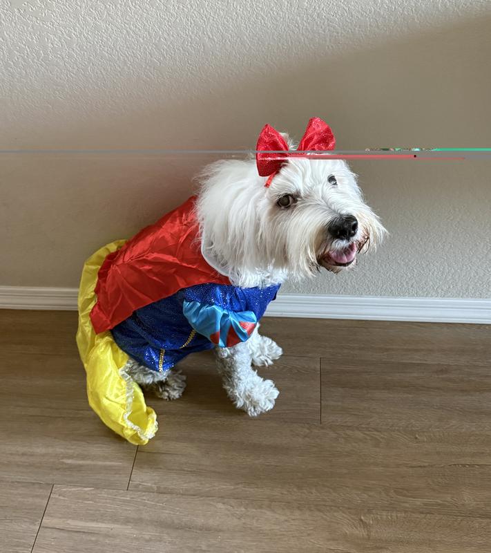 The cutest snow white