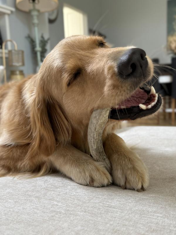 Long enough that she can hold onto it and I don’t have to worry about it being a choking hazard.