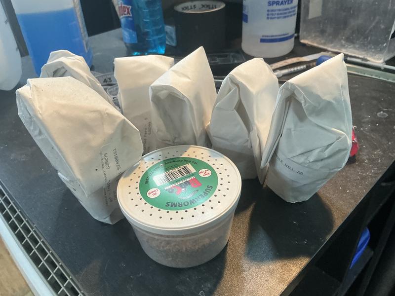 Each plant was individually packaged.