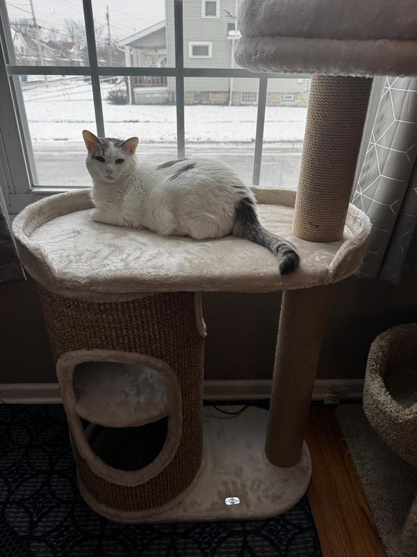 Day #1, minute 1, Ringlet approves