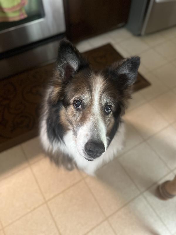 Sideeye from a disappointed customer.