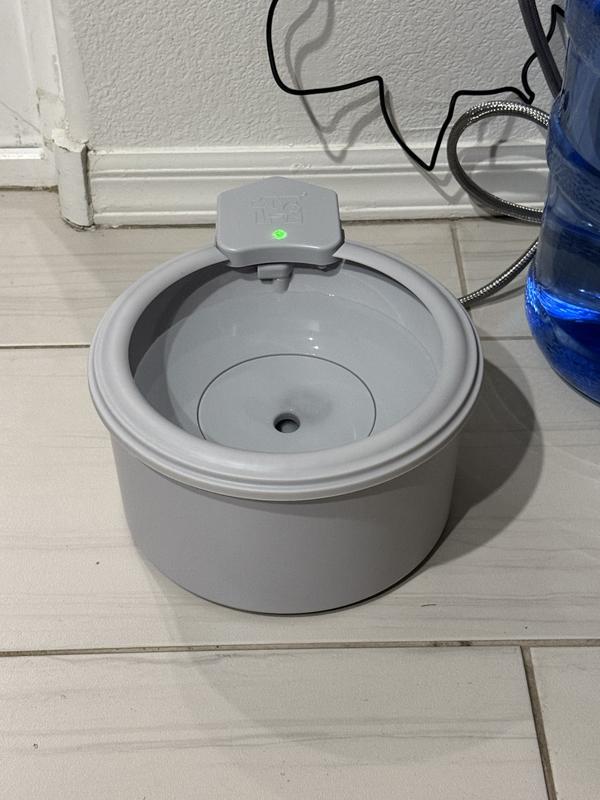 ALWAYS FULL Automatic Dog & Cat Water Bowl & Bottle Pump Self Cleaning &  Refilling Dispenser, Matte Gray, 7-in - Chewy.com
