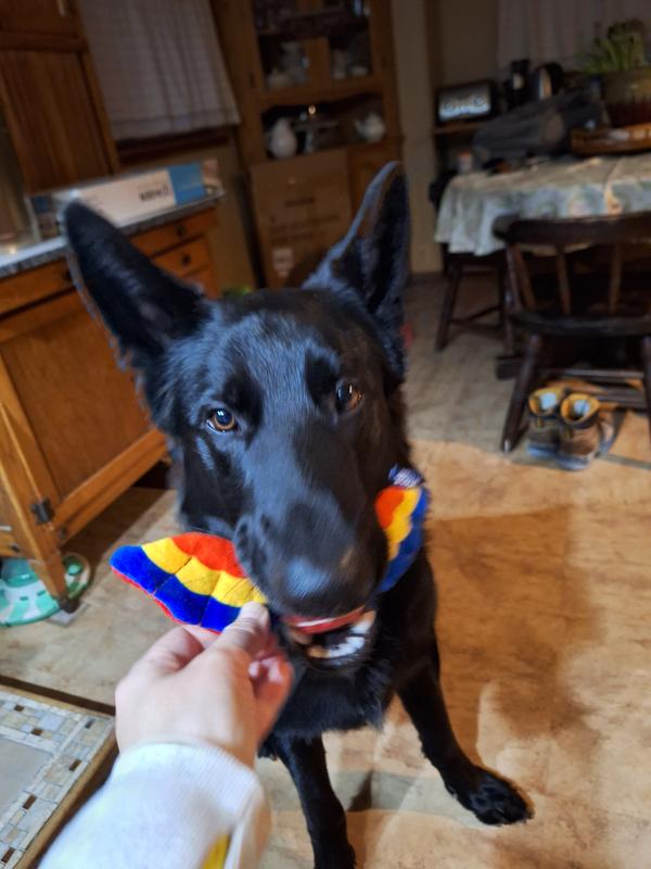 Ball disappears in his mouth