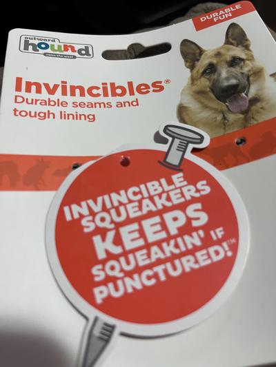 Outward Hound Invincibles Mini Chicky