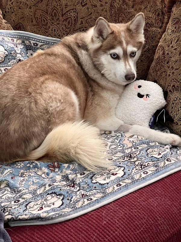 Getting to know this toy