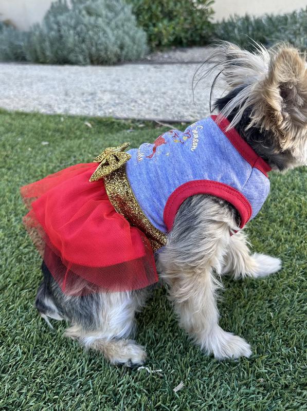 FRISCO 'Tis the Season to Sparkle Dog & Cat Dress, XX-Large - Chewy.com