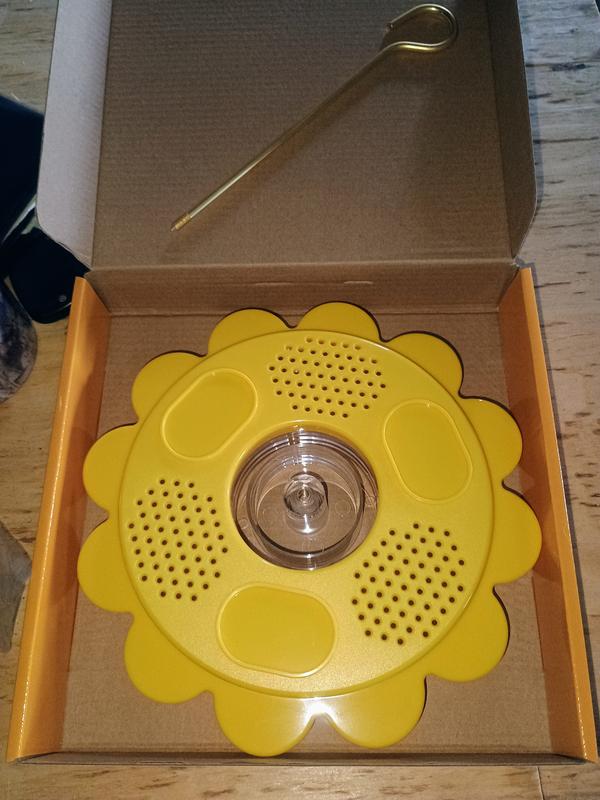 BIRDS CHOICE Flutterby Butterfly Nectar Wild Bird Feeder with Fruit ...